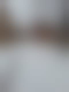 fb_61586020044279